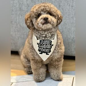 Little cuddle monster graphic bandana size medium